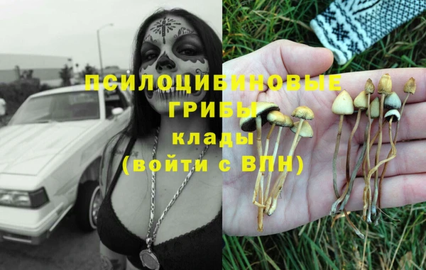герыч Корсаков
