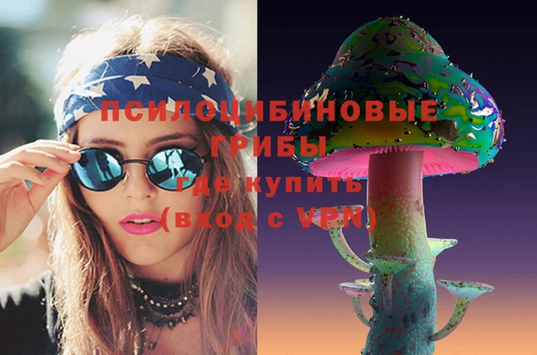 дмт Костерёво