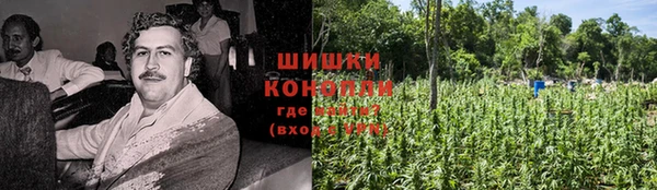 дмт Костерёво