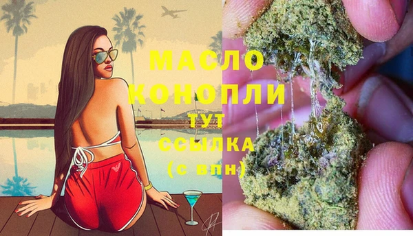 дмт Костерёво